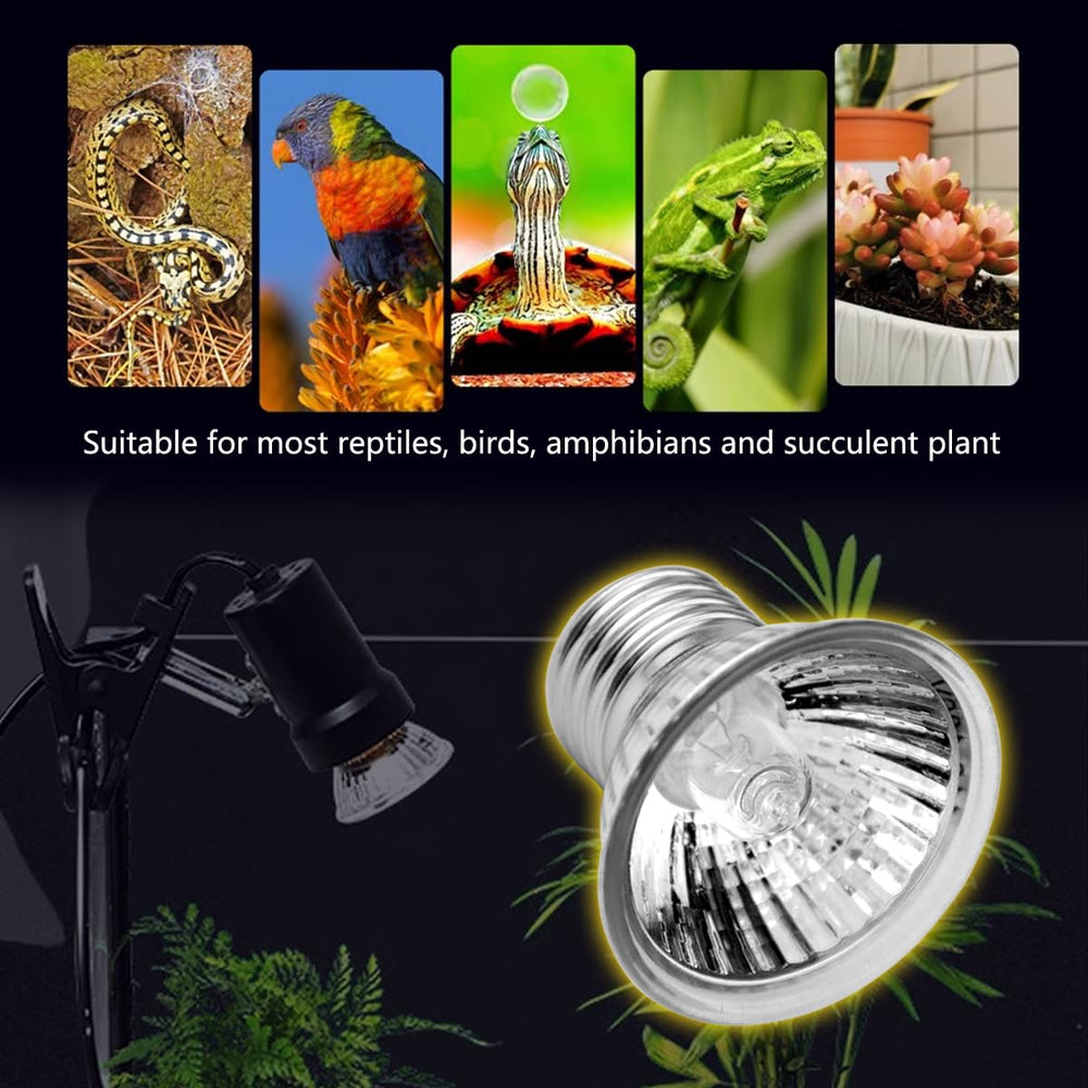 DOMICA basking-spot light simulates sunlight for reptile activity and health.