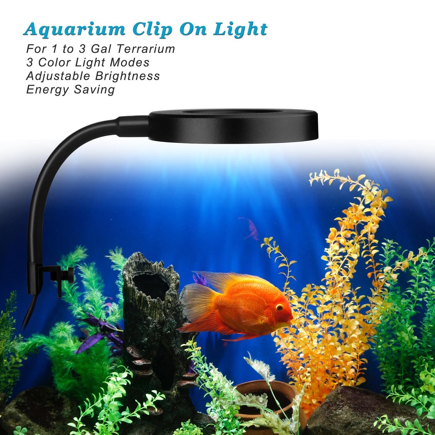 DOMICA clip-on aquarium light color mode demonstrates vibrant fish color enhancement.