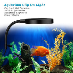 DOMICA clip-on aquarium light color mode demonstrates vibrant fish color enhancement.