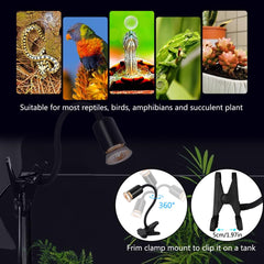Domica dimmable heat lamp with built-in timer mimics natural sun cycles.