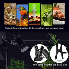 DOMICA heat lamp in terrarium setup creating a warm basking area