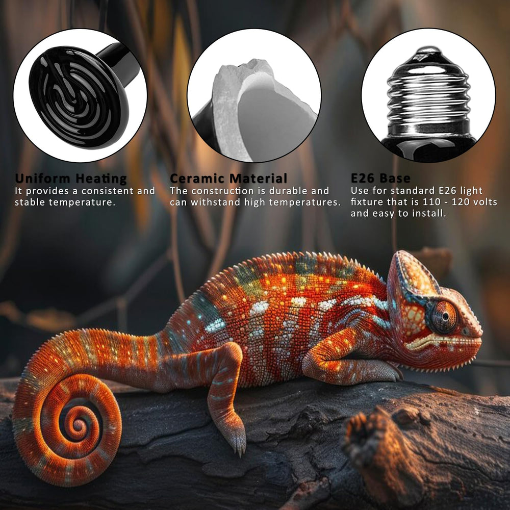 DOMICA wide-application image captures bearded dragons, turtles, and more benefiting.