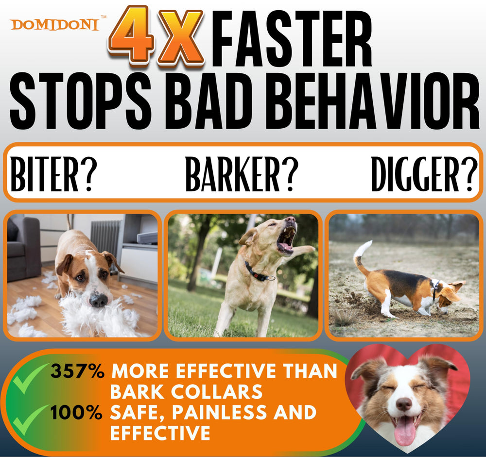 DomiDoni Alpha Pro modes image showing multiple training options for humane barking control.