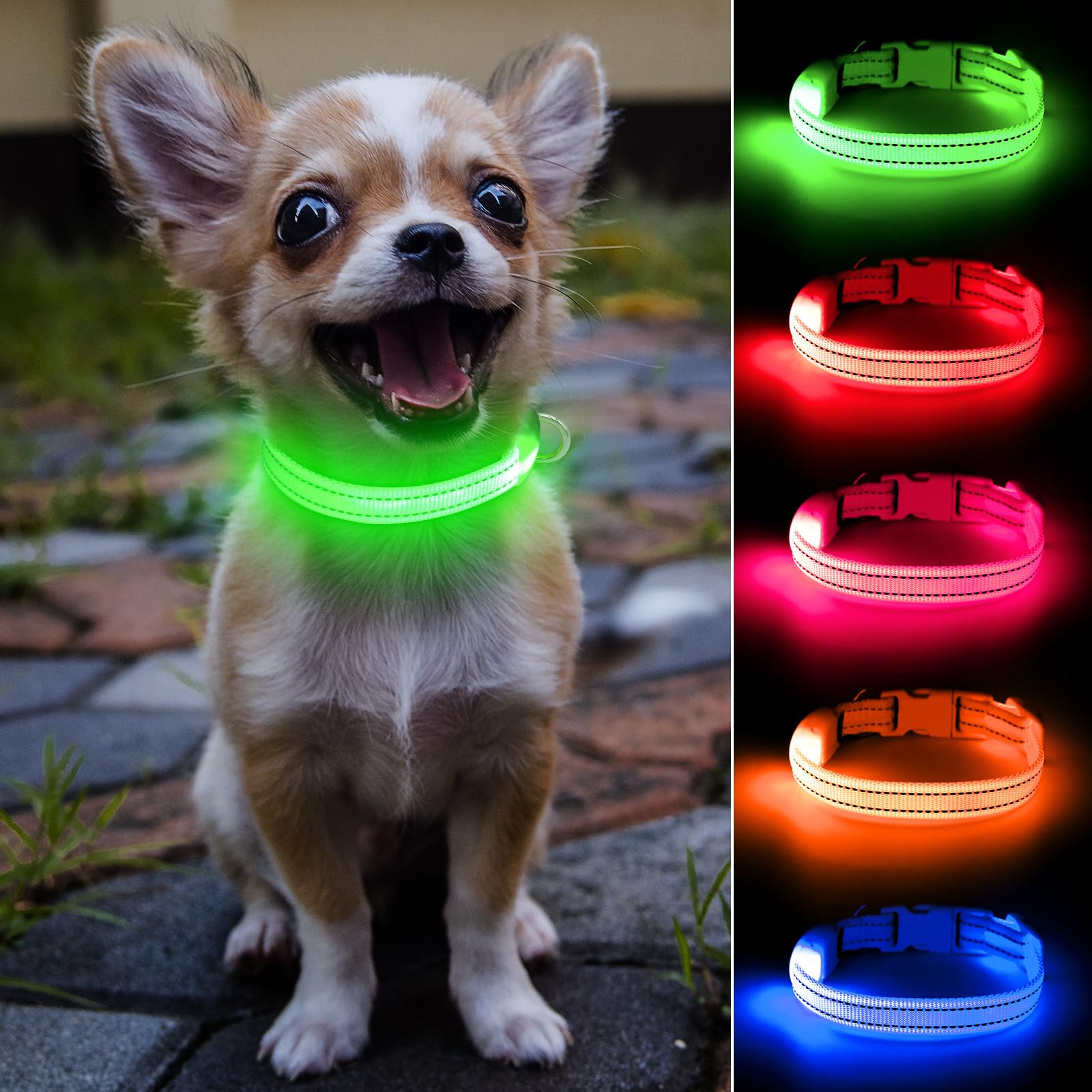 DOMIGLOW light-up collar close-up highlighting the bright TPU tube for early-night visibility