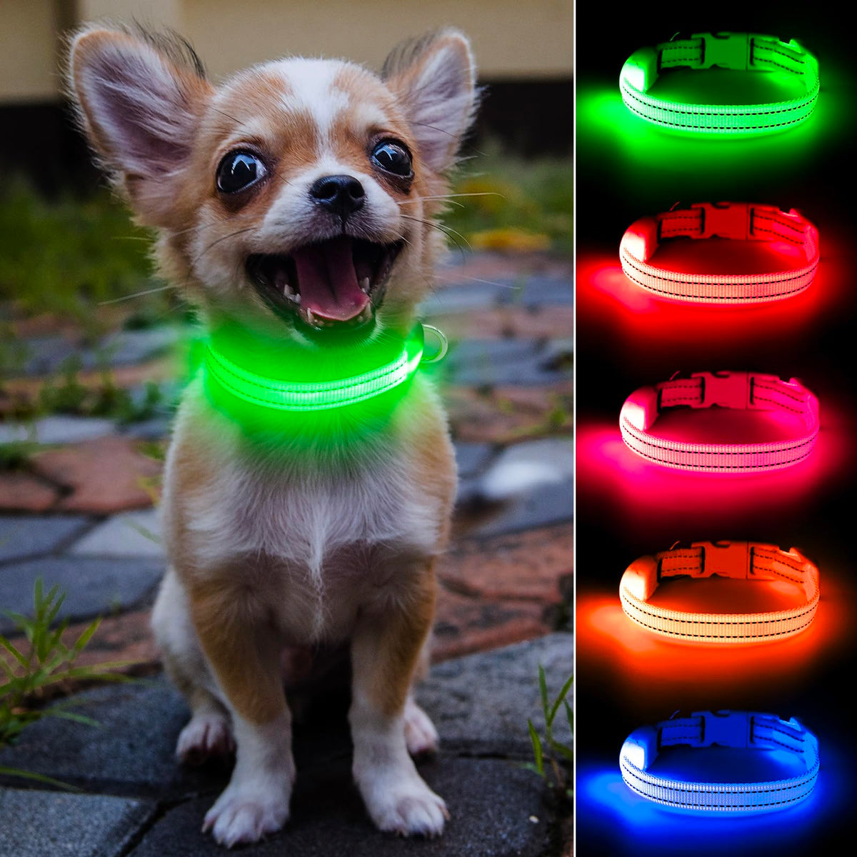 DOMIGLOW light-up collar close-up highlighting the bright TPU tube for early-night visibility