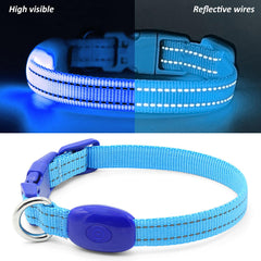 DOMIGLOW LED collar ready for night walking with high visibility for small pets.