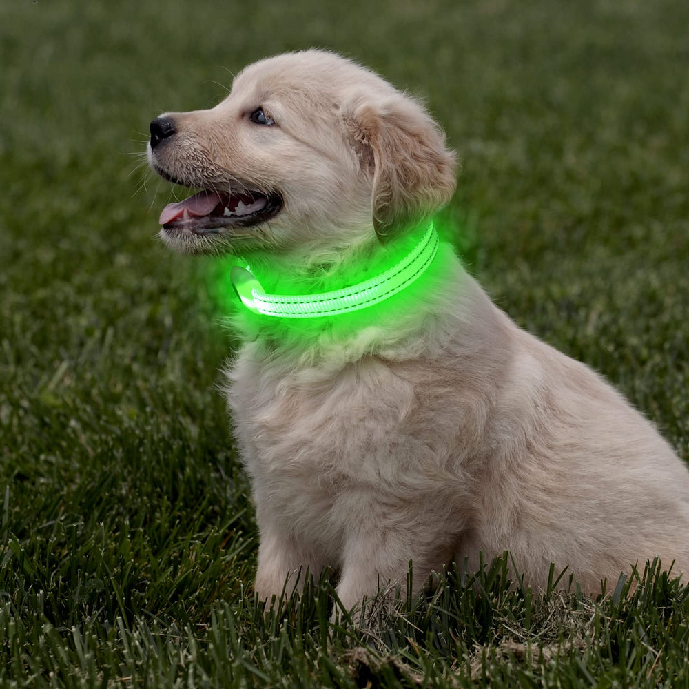 DOMIGLOW reflective stitch detail emphasizes integrated daytime safety features