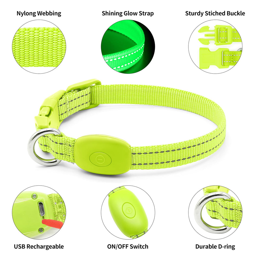 DOMIGLOW small-pets 12in collar demonstrates adjustable fit for Chihuahuas and similar breeds
