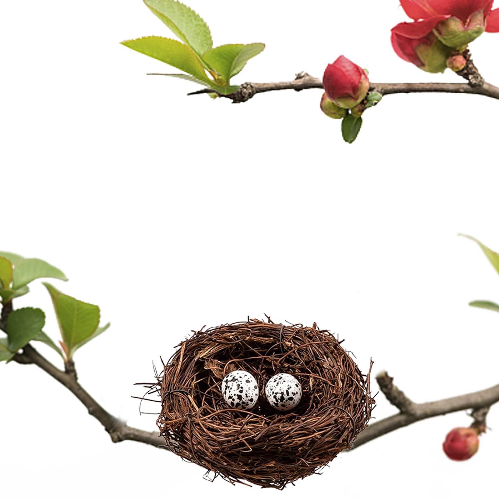 Domkier mini nest for Easter eggs display and nature-inspired crafts.