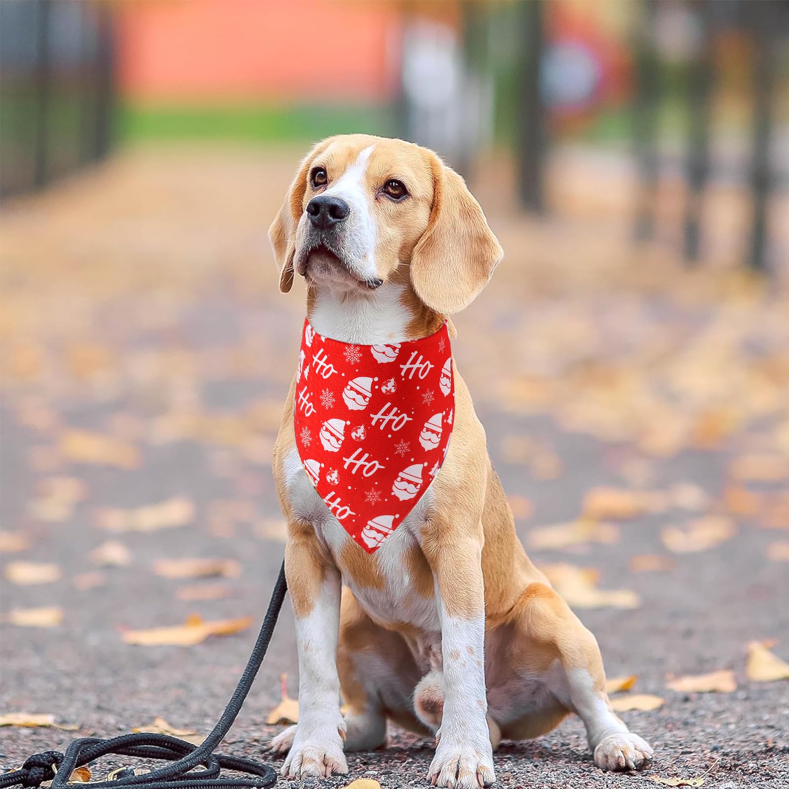 Doncida adjustable-ties bandana ensures a secure fit for medium to large dogs.