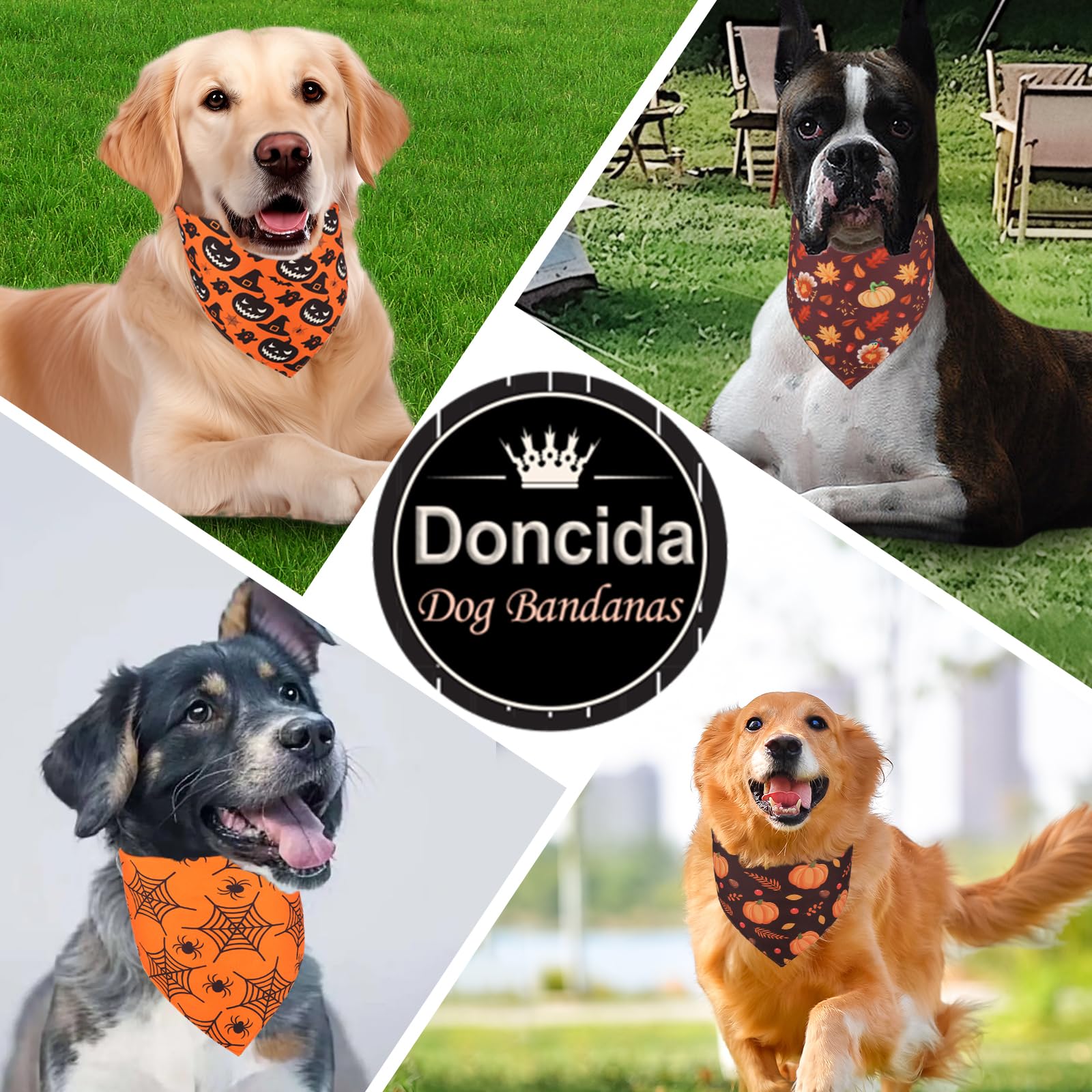 Doncida three-sizes illustration shows neck fits up to 12, 16, and 21 inches