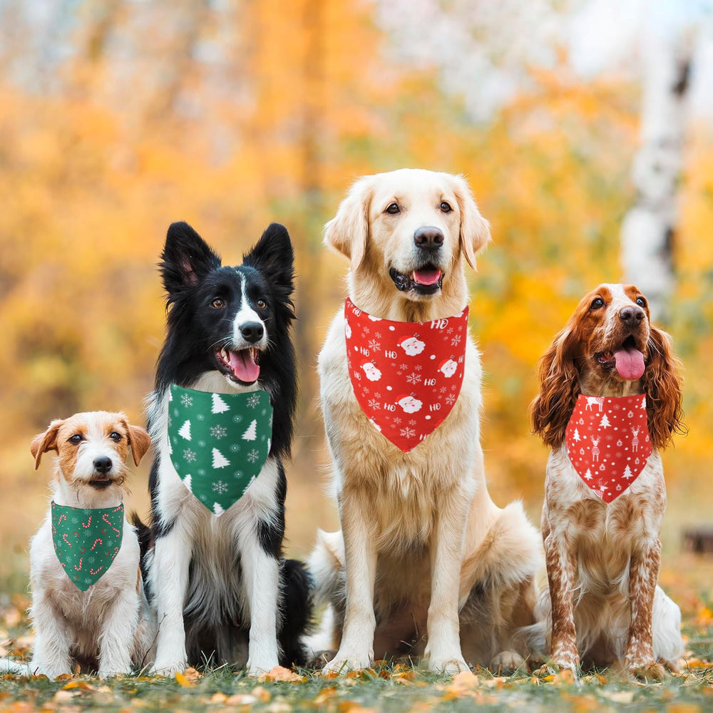 Doncida dog bandanas ready for a photo friendly holiday moment