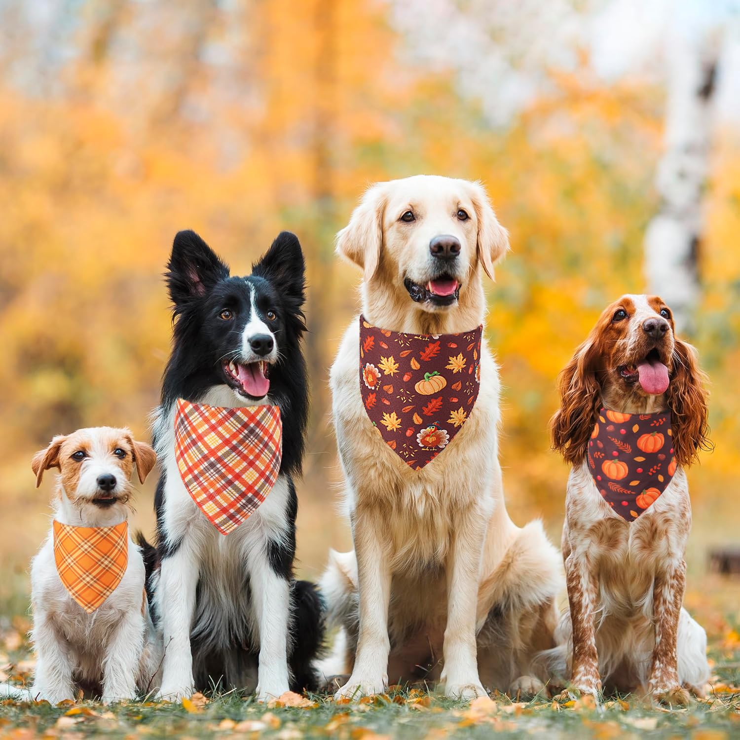 Doncida family-photo-ready bandana suits small to medium dogs for seasonal memories.
