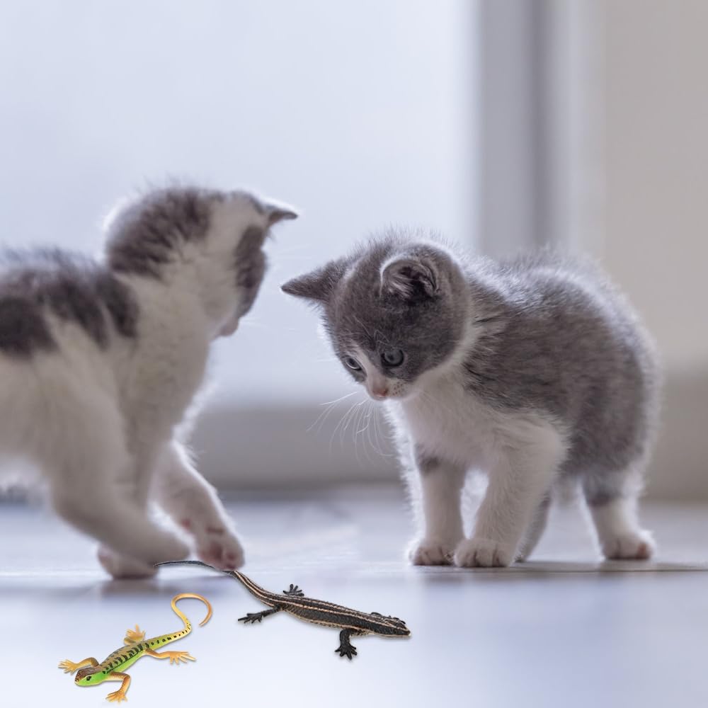 DONGKER cat lizard toy purple - versatile indoor enrichment and fun.