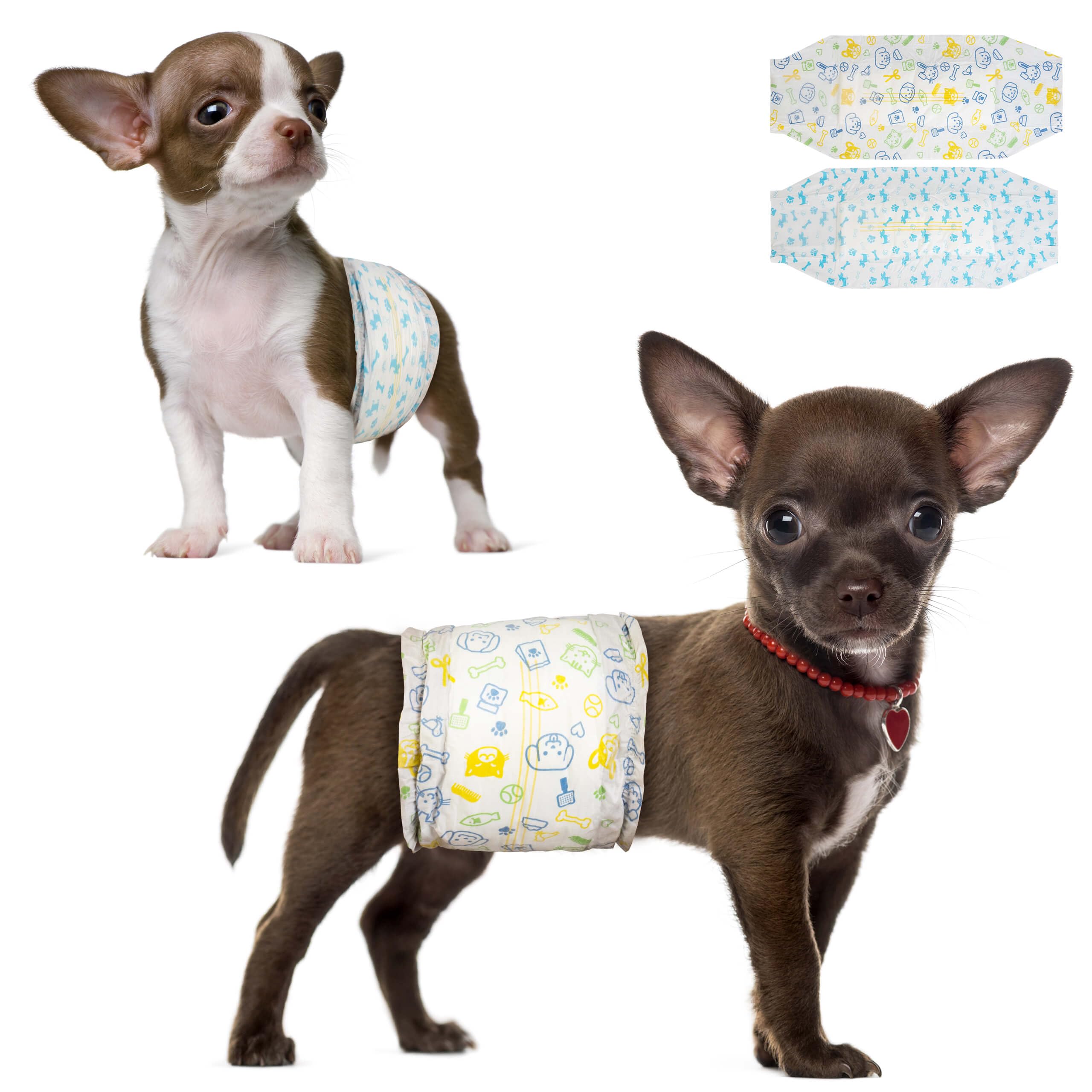 Dono disposable male dog diapers front packaging shows reliable daily protection for small pets.