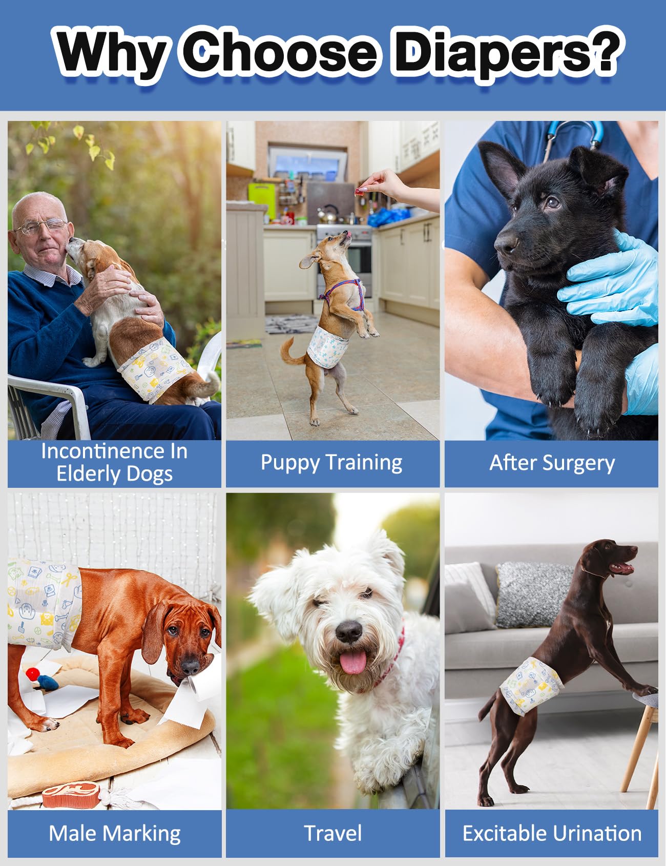Dono 48-pack includes two designs, ideal for households with multiple dogs.