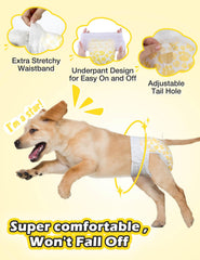 Dono Dog Diapers fast-dry-leak-protection helps maintain a clean home.