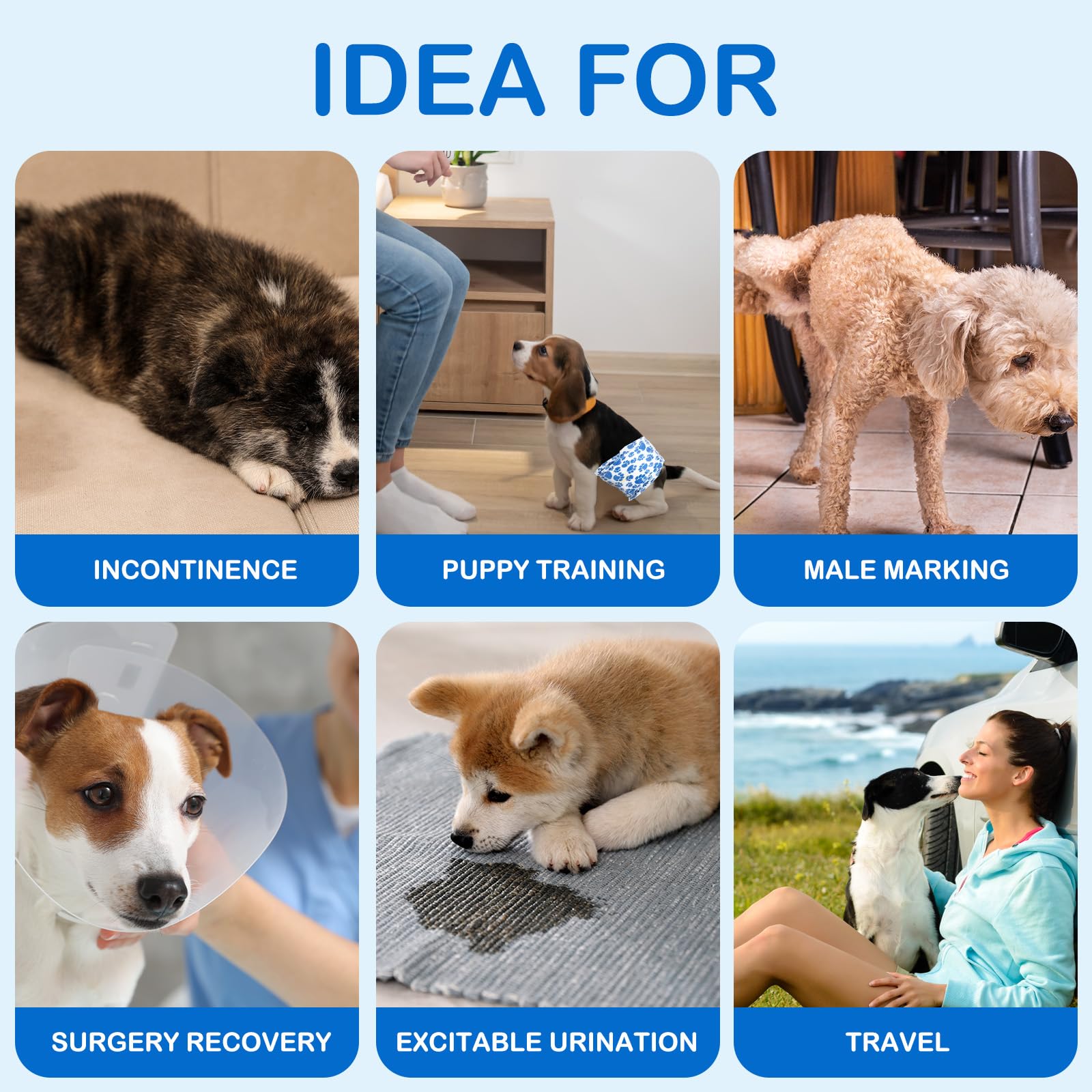 Dono dog diapers travel-use-case help manage excitable urination during trips.