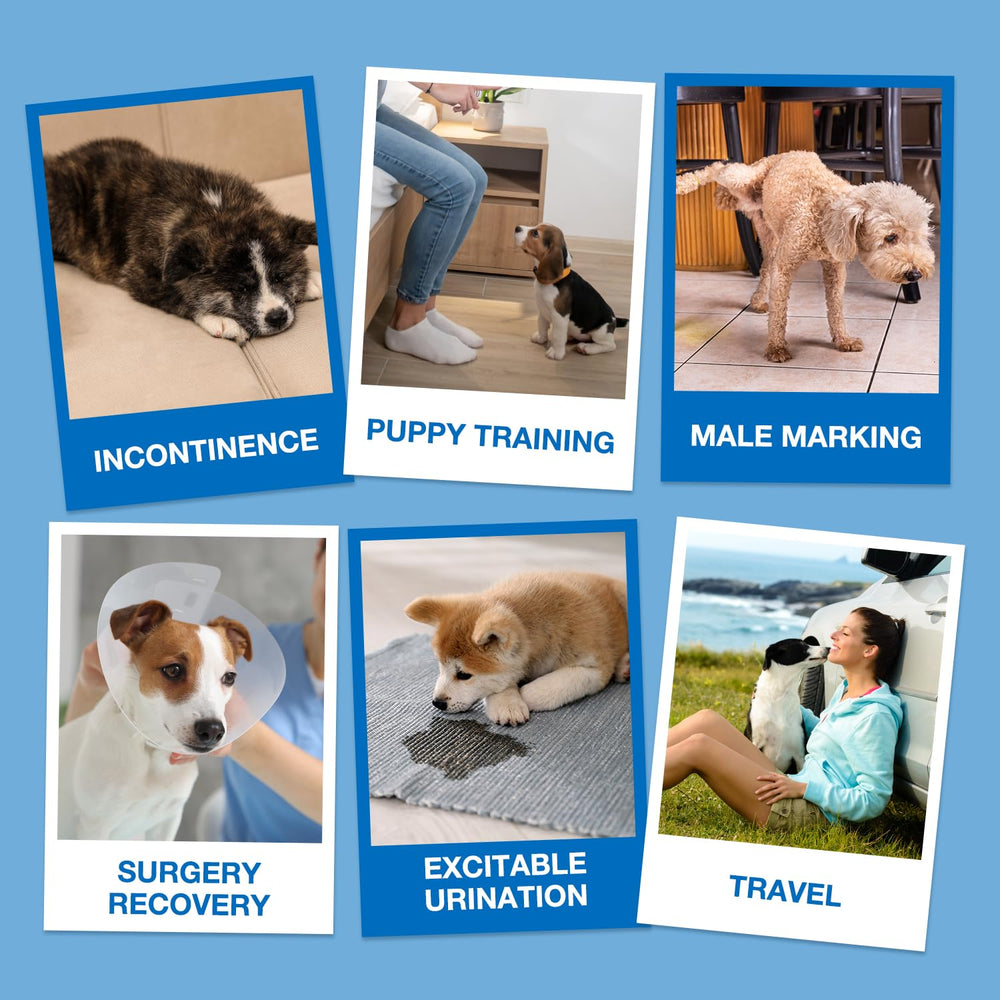 Dono dog diapers are ideal for travel and daily routine