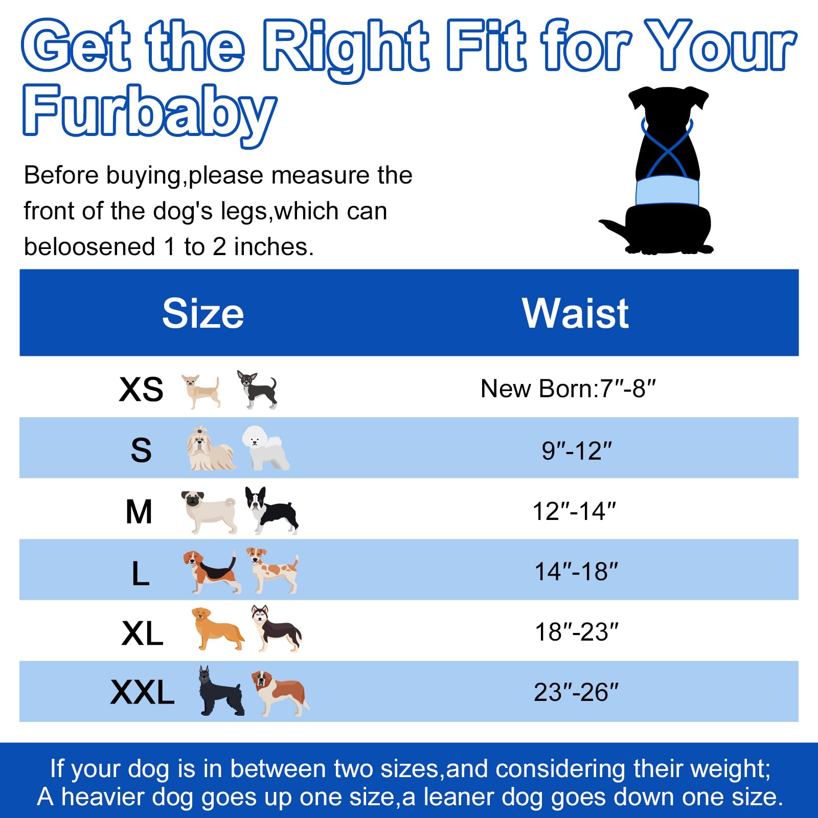 Dono belly bands elastic suspenders graphic showing stay-in-place fit