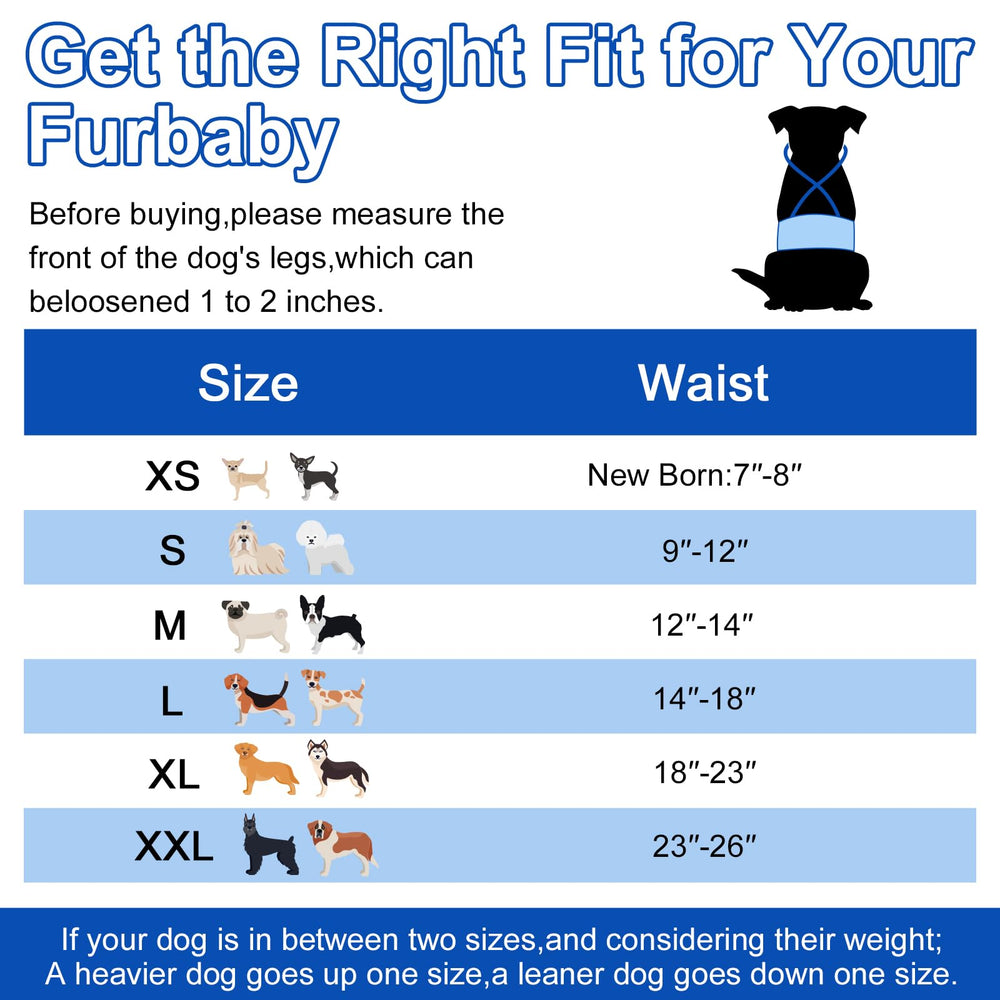 Dono belly bands elastic suspenders graphic showing stay-in-place fit