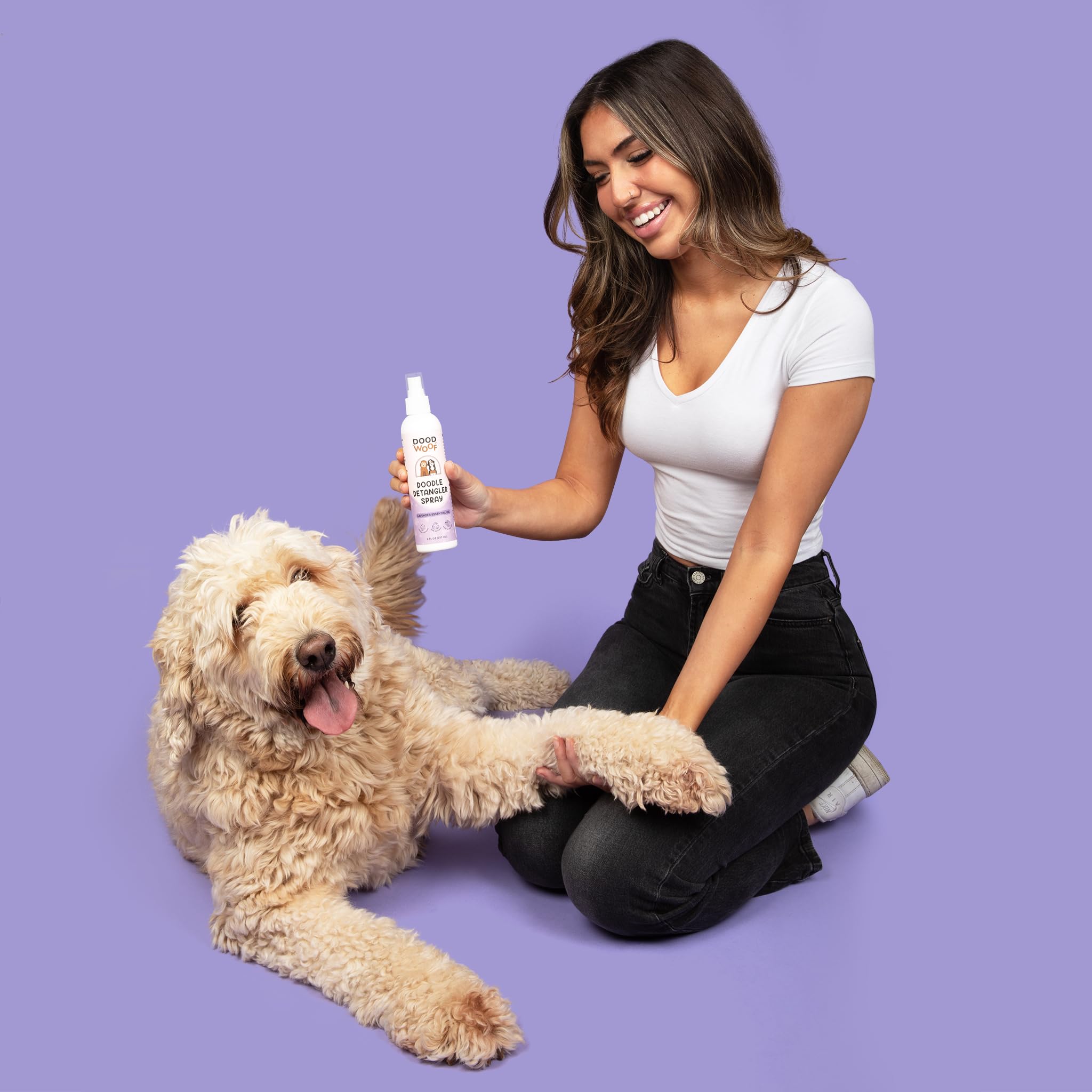 DOOD WOOF groomer-visits-ease indicates smoother professional grooming between appointments.