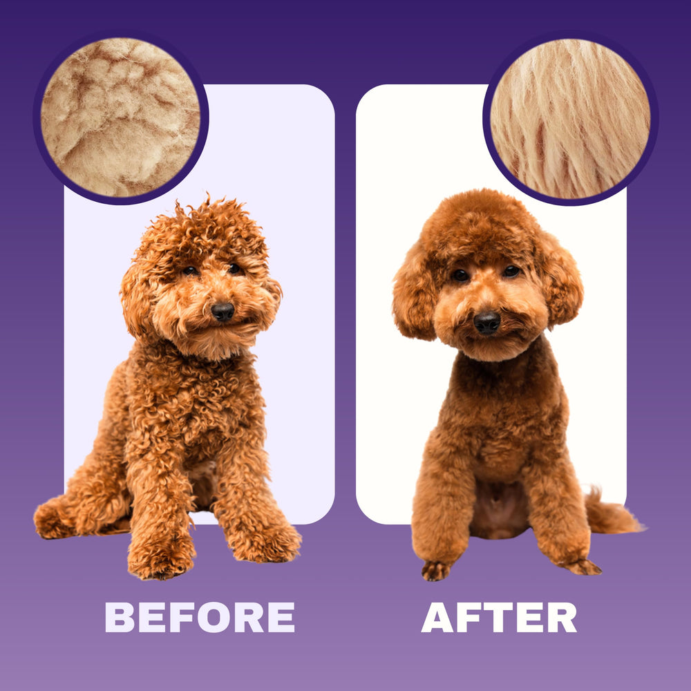 DOOD WOOF subtle scent illustrates gentle fragrance for sensitive noses.