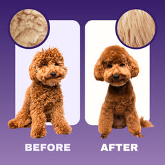 DOOD WOOF subtle scent illustrates gentle fragrance for sensitive noses.