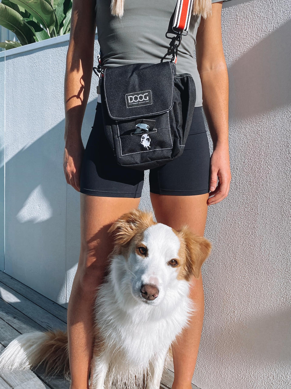 DOOG Walkie Bag design-varieties demonstrates multiple designs to fit style.