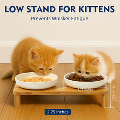 DoogCat adjustable height bowls for a comfortable feeding posture.