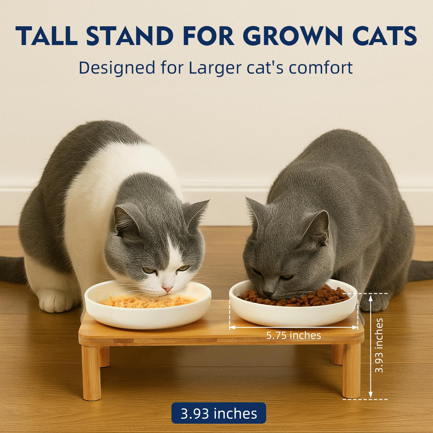 DoogCat ceramic bowls for food and water with whisker-friendly shape.