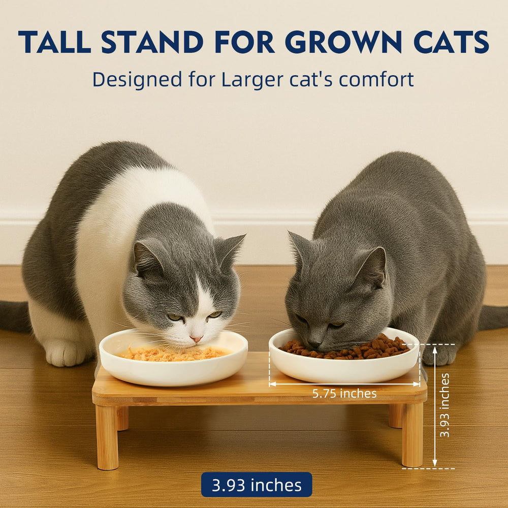 DoogCat ceramic bowls for food and water with whisker-friendly shape.