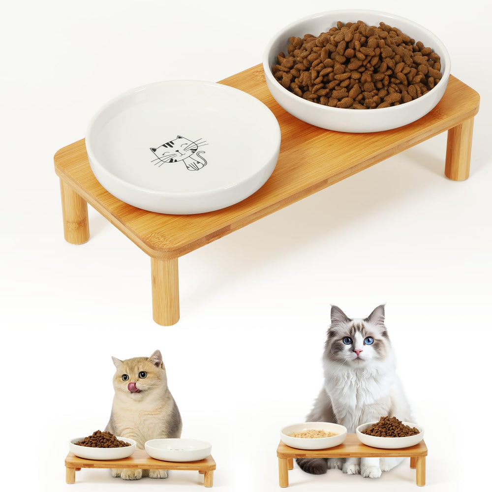 DoogCat suitable for kittens and flat-faced cats during meals.