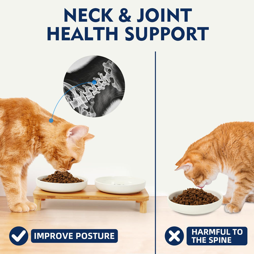 DoogCat space-saving bamboo stand complements modern home decor.