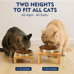 DoogCat height-adjustable legs offer two height options for growing cats.