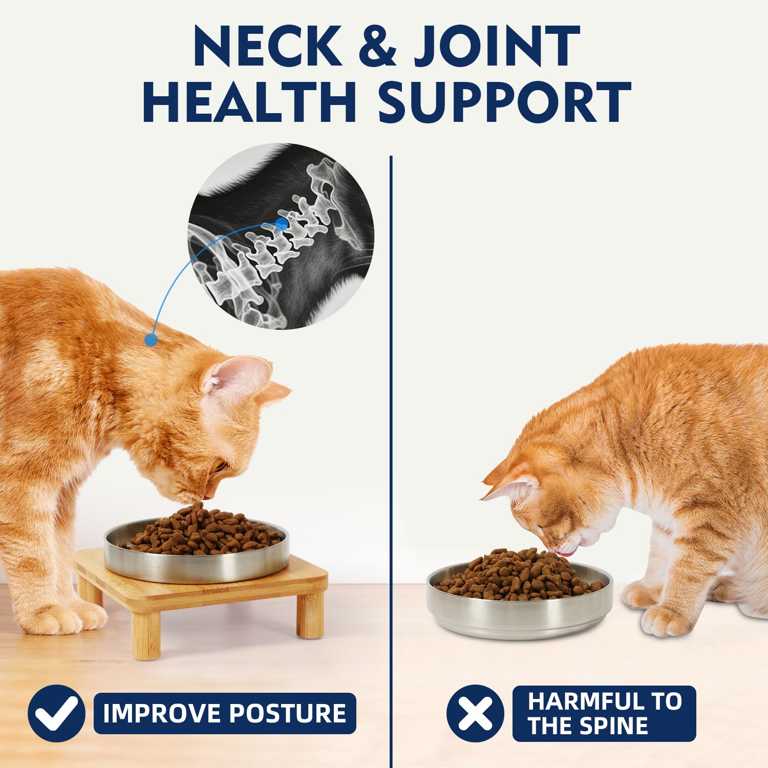 DoogCat stainless steel bowls—rust-resistant and easy to clean.