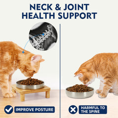 DoogCat stainless steel bowls—rust-resistant and easy to clean.