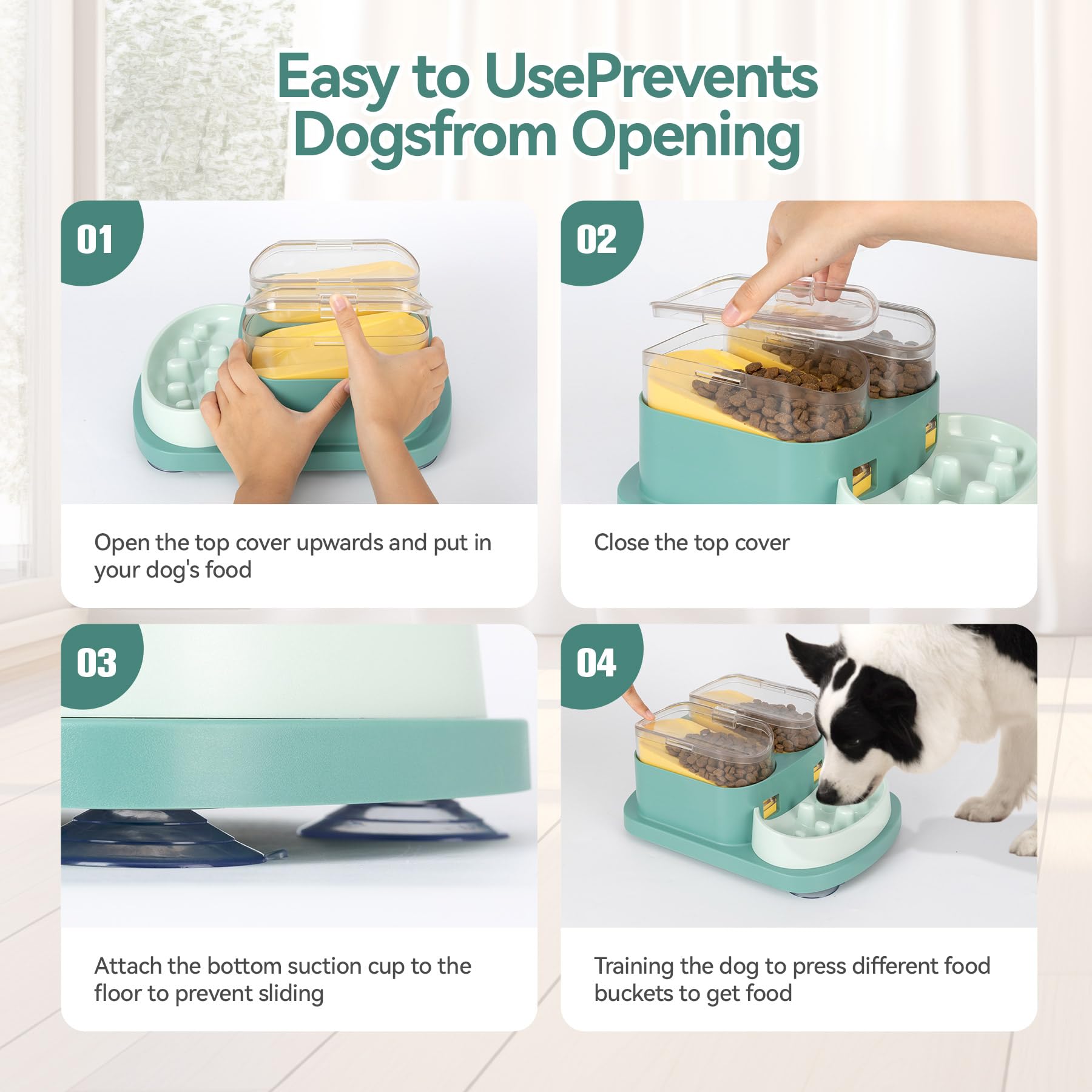DOOKRON dog enrichment mental-stimulation scenes show engaging activity.