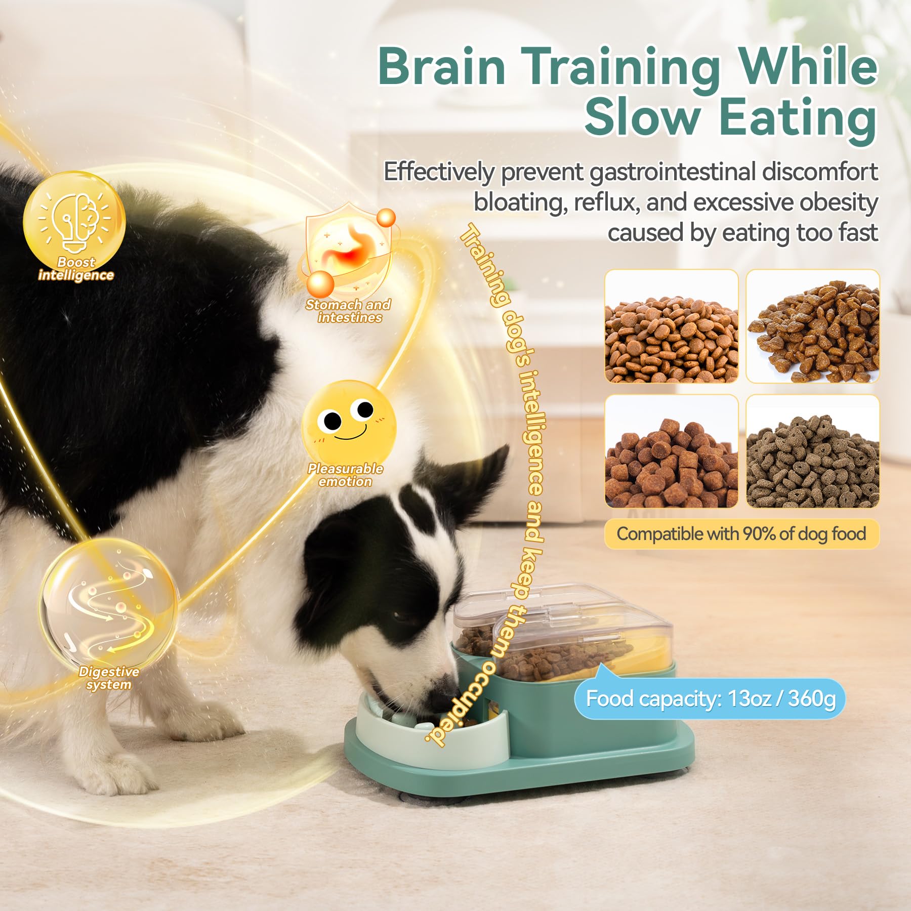 DOOKRON slow-feeding feeder feature shows extended meal time and mindful eating.