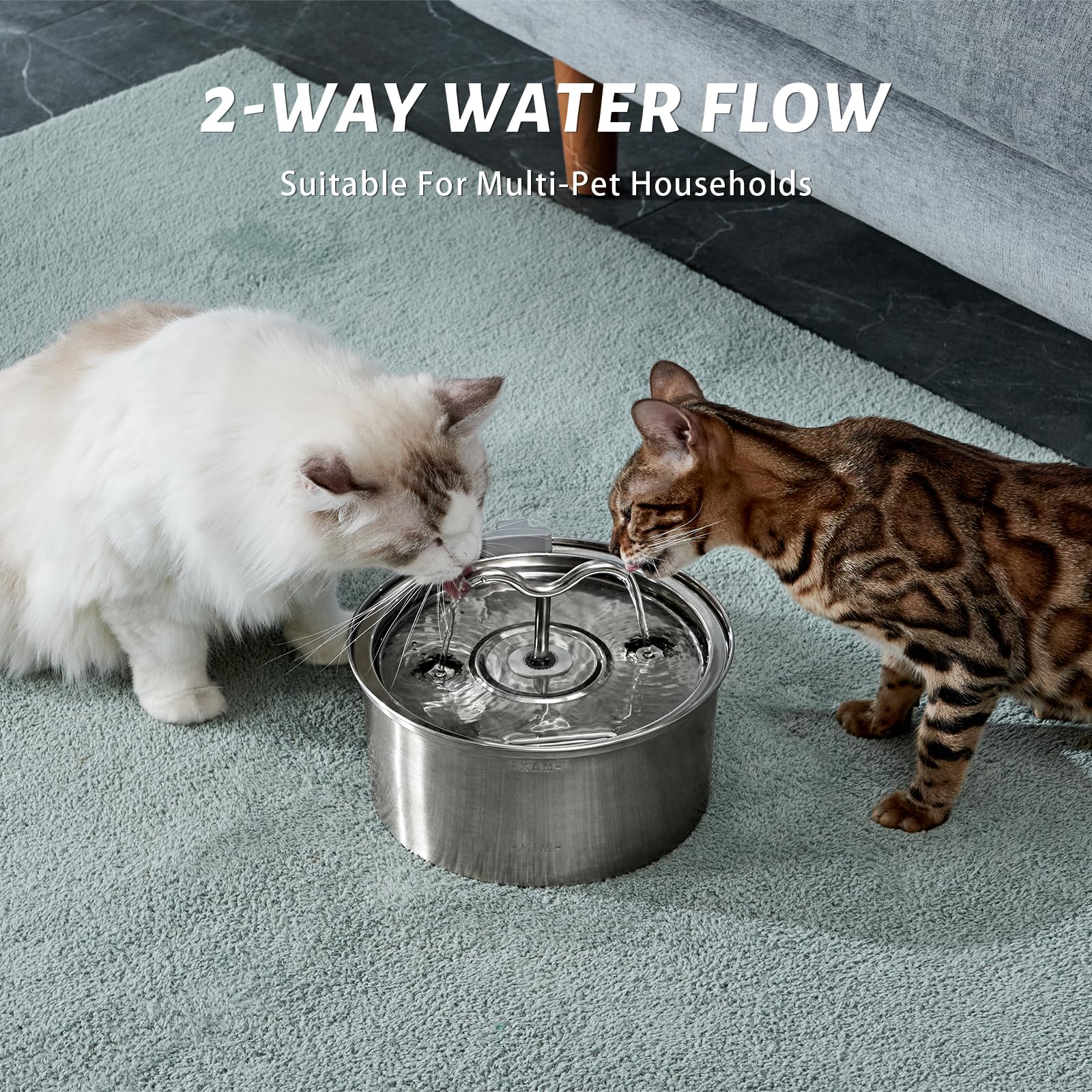 DOOOB 3-2l capacity water bowl reduces refills in multi-pet homes.