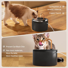 DOOOB cat fountain two-modes demonstrate free-falling streams and bubble fountains to entice drinking.