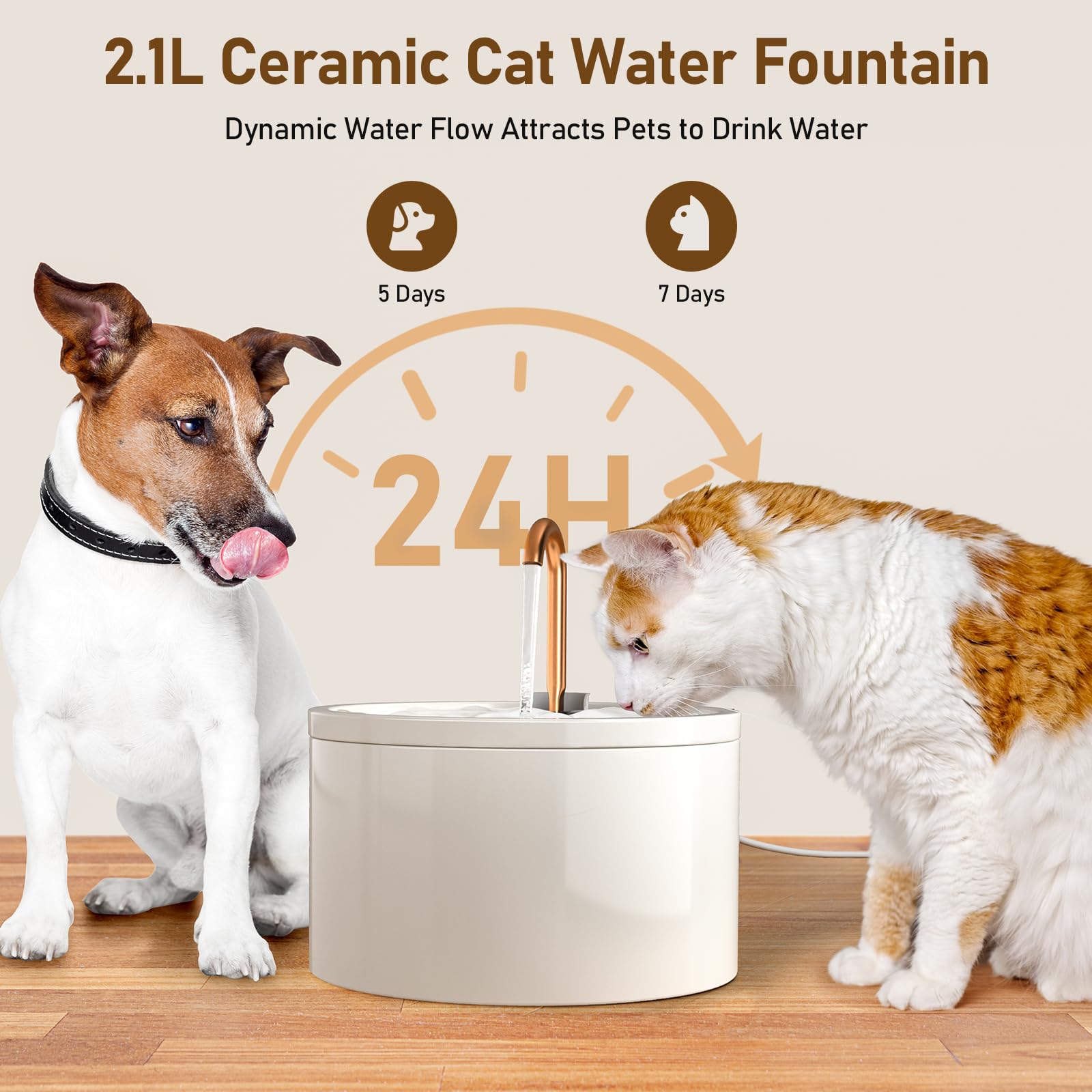 DOOOB fountain flow modes attract pets to drink more water.