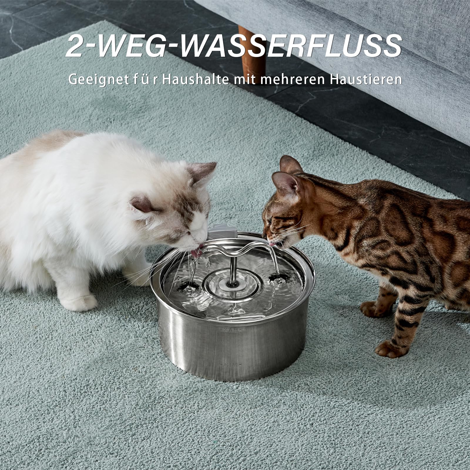 DOOOB cat water fountain 3-2l capacity suitable for multi-pet households