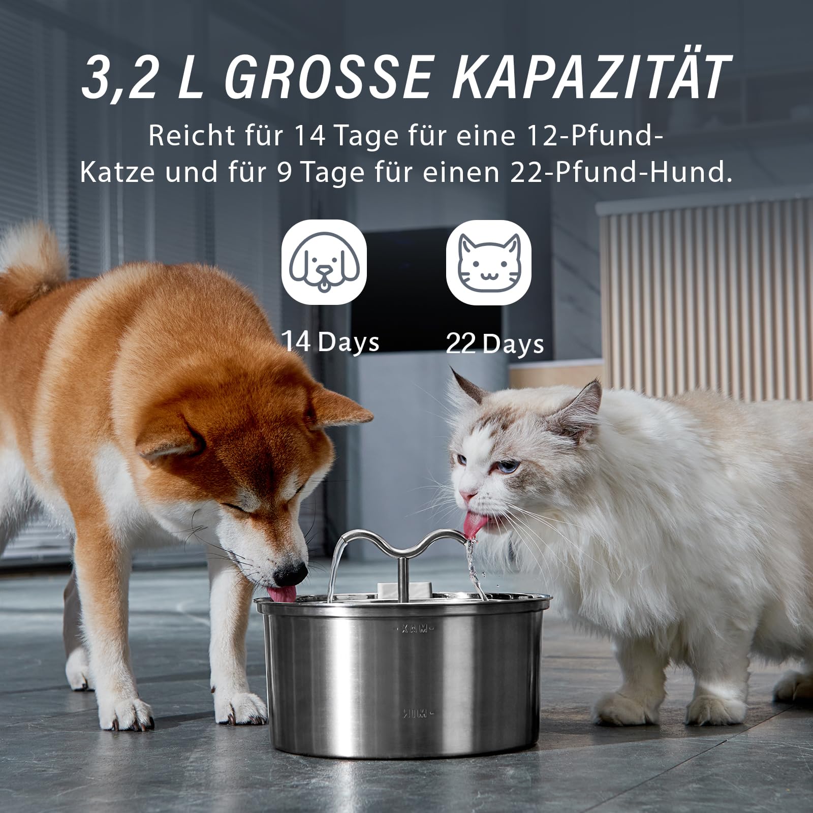 DOOOB cat water fountain double-filtration closeup with carbon filter and sponge