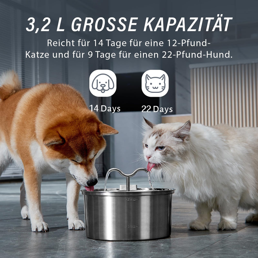 DOOOB cat water fountain double-filtration closeup with carbon filter and sponge