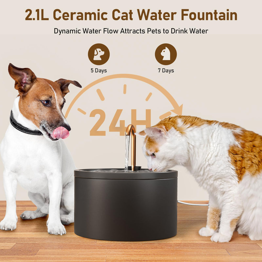 DOOOB ceramic fountain integrated pump emphasizes quick removal and simple cleaning.