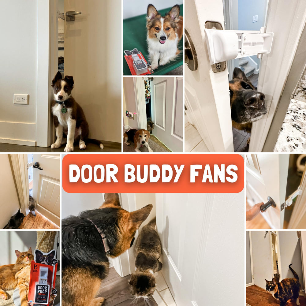 Door Buddy cat-feeding-litter-area illustrates keeping cat zones accessible.