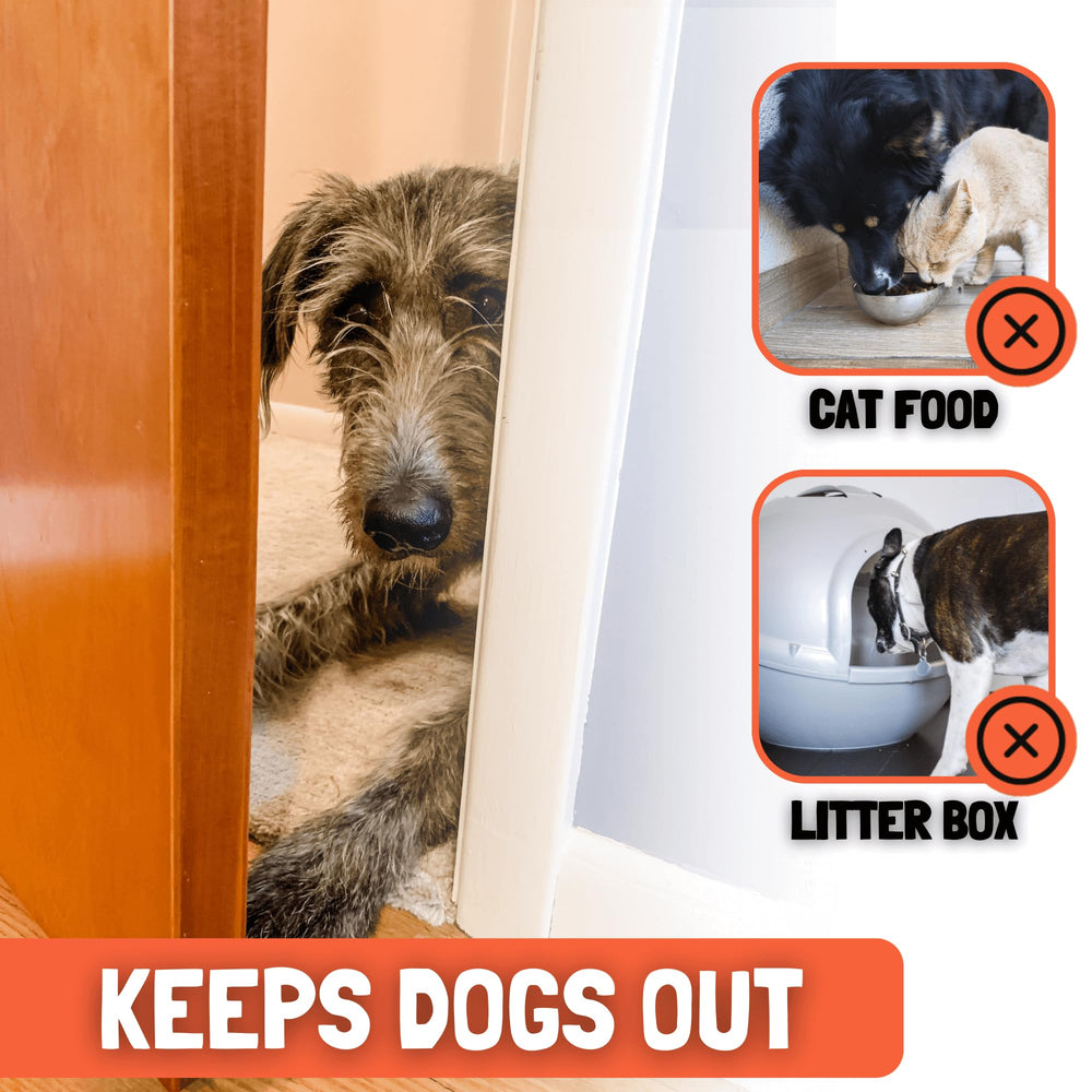 Door Buddy portable-dog-proof-use demonstrates easy, rental-friendly access control for pets.