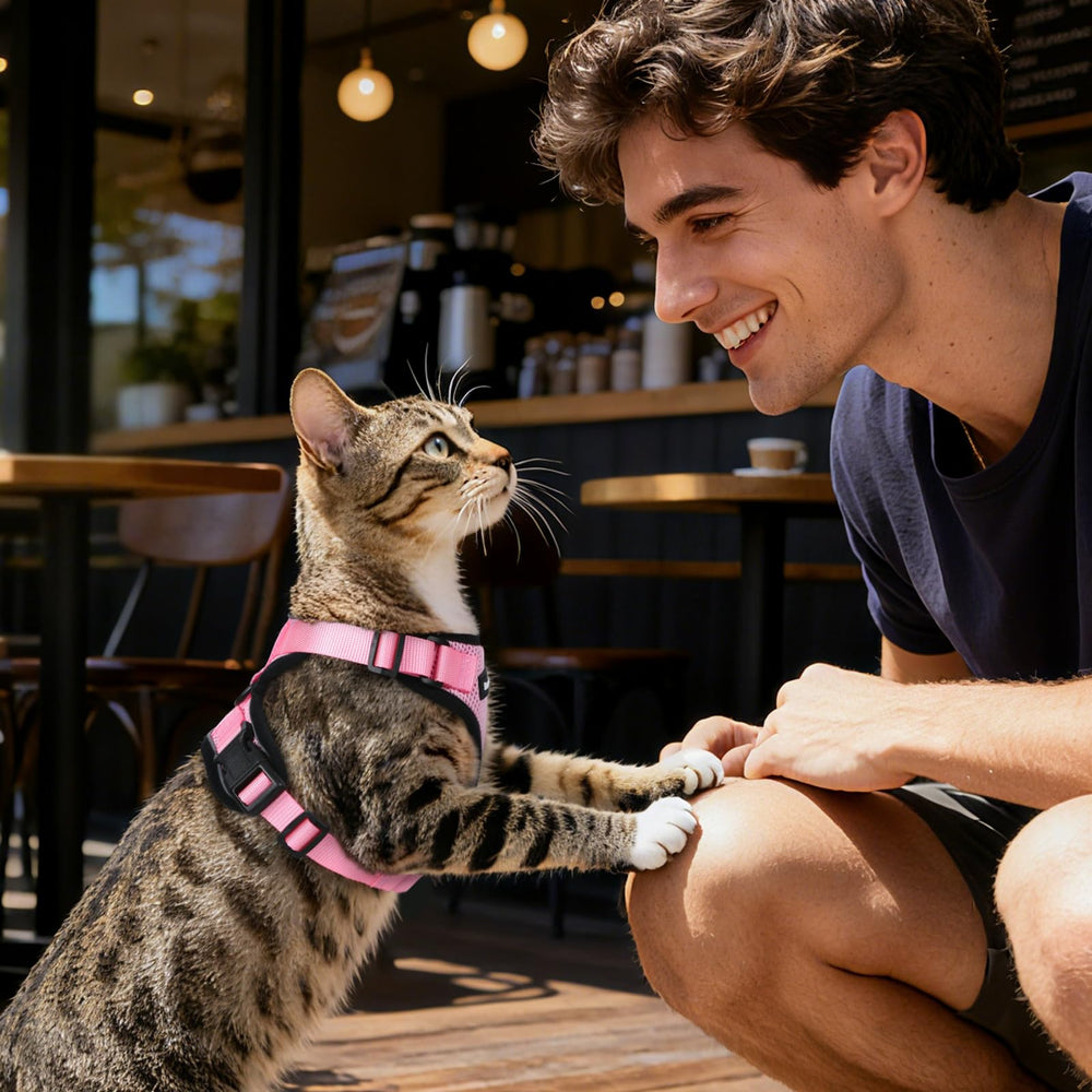 Dooradar correa para gato en rosa, longitud adecuada para paseos controlados
