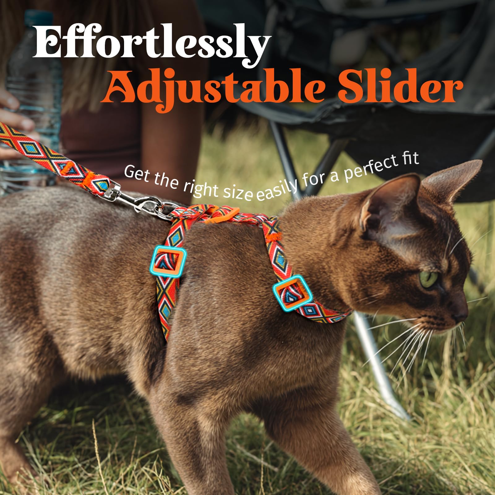 Dooradar cat harness D-ring leash attachment shown for safe leash connection.